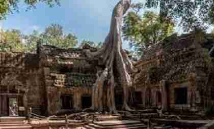 Ta Prohm temple