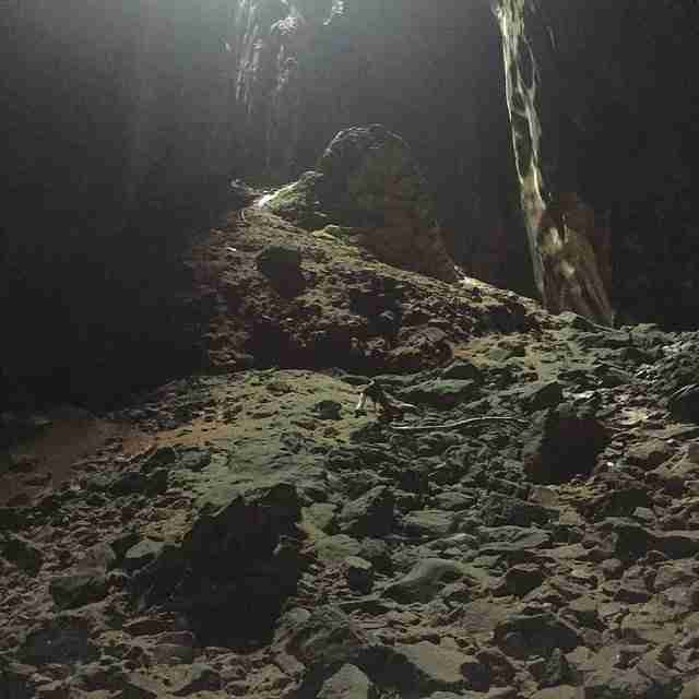 Inside the Dark Cave