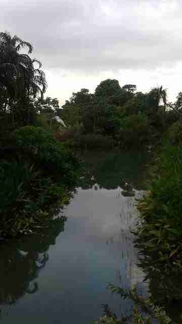 Lake and rivers in the Gardens