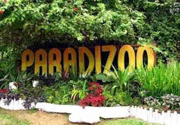 Paradizoo In Tagaytay Philippines