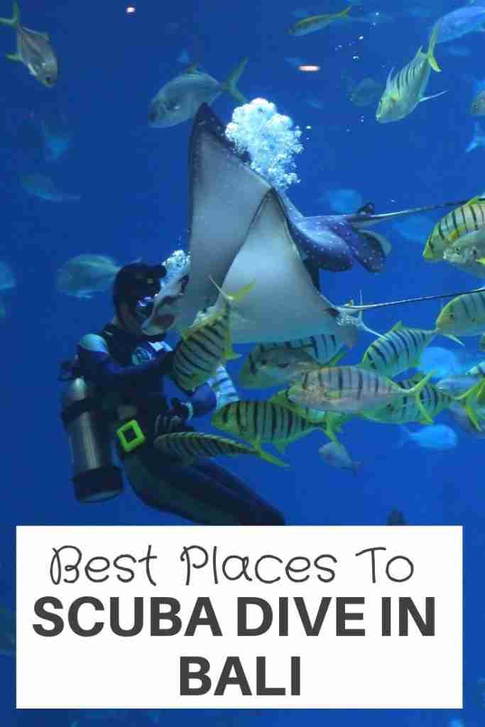 Best Places to Dive in Bali