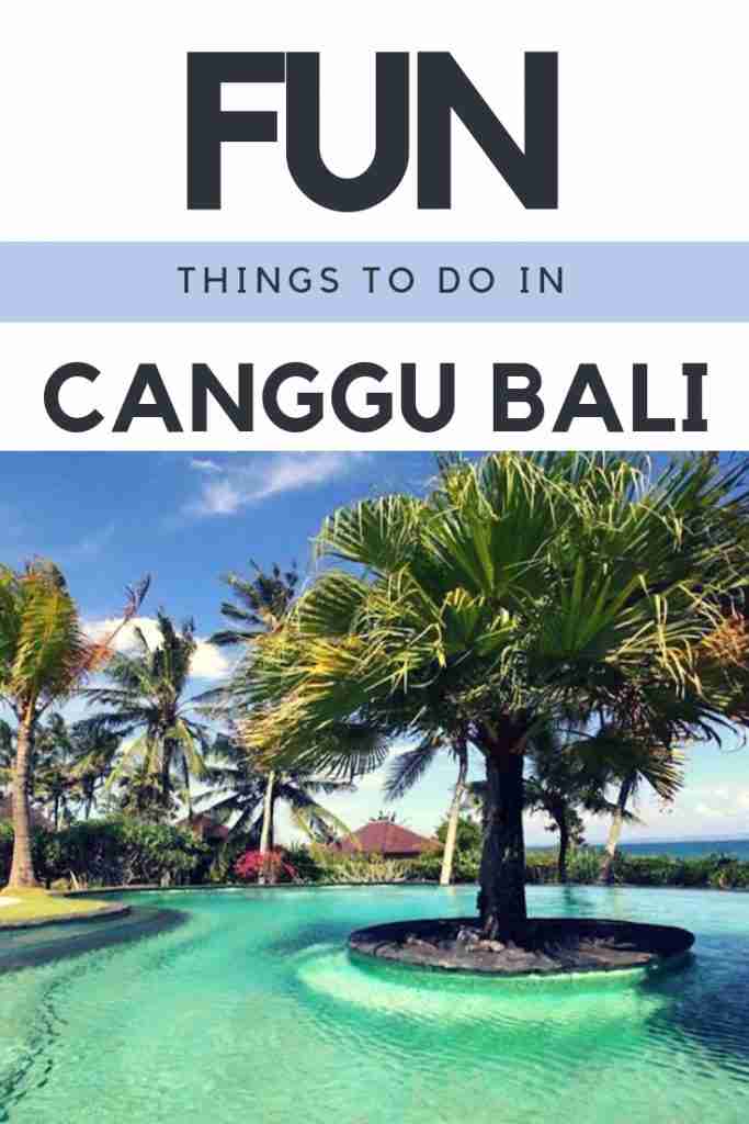 THINGS TO DO iN CANGGU BALI