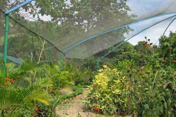 Kep Butterfly Farm