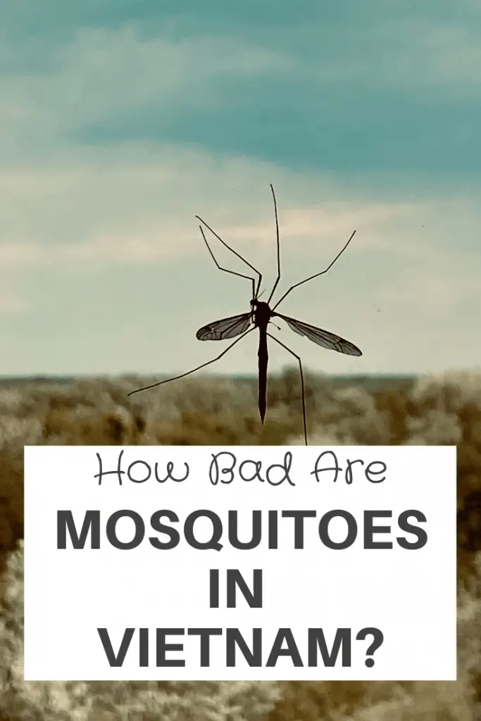 Mosquitoes in Vietnam