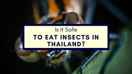 Is it safe to eat insects in Thailand