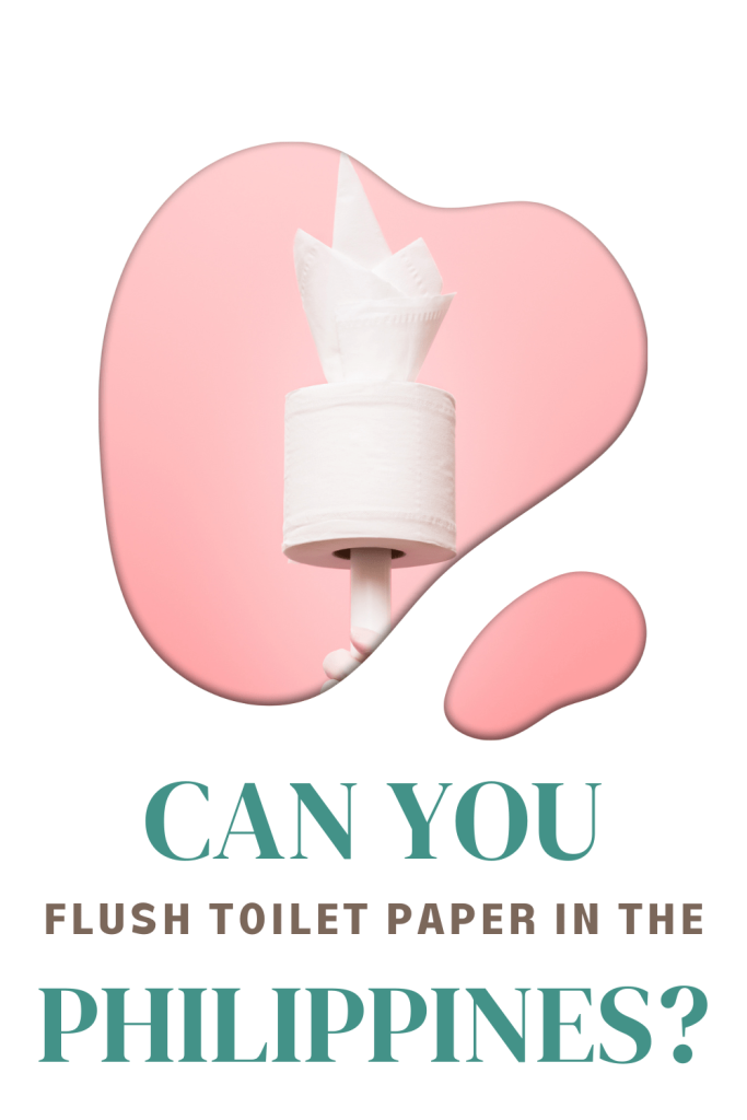 Can You Flush Toilet Paper In The Philippines