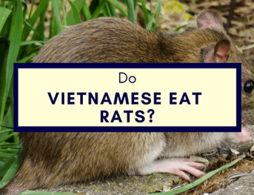 Do Vietnamese Eat Rats?