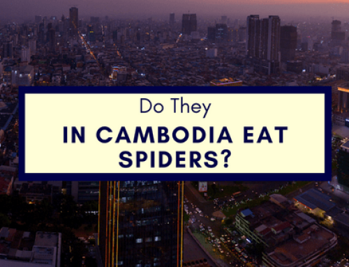 Do They In Cambodia Eat Spiders?