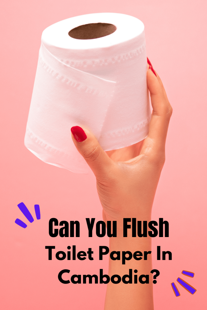 Can You Flush Toilet Paper In Cambodia
