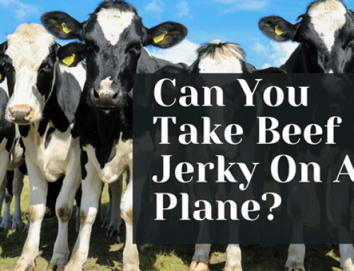 Can You Take Beef Jerky On A Plane?